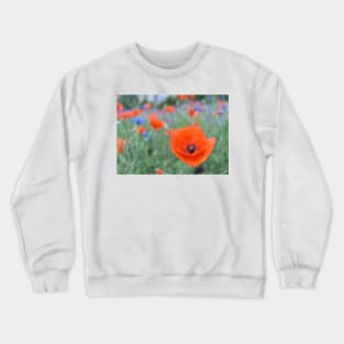 Poppies and cornflowers Crewneck Sweatshirt